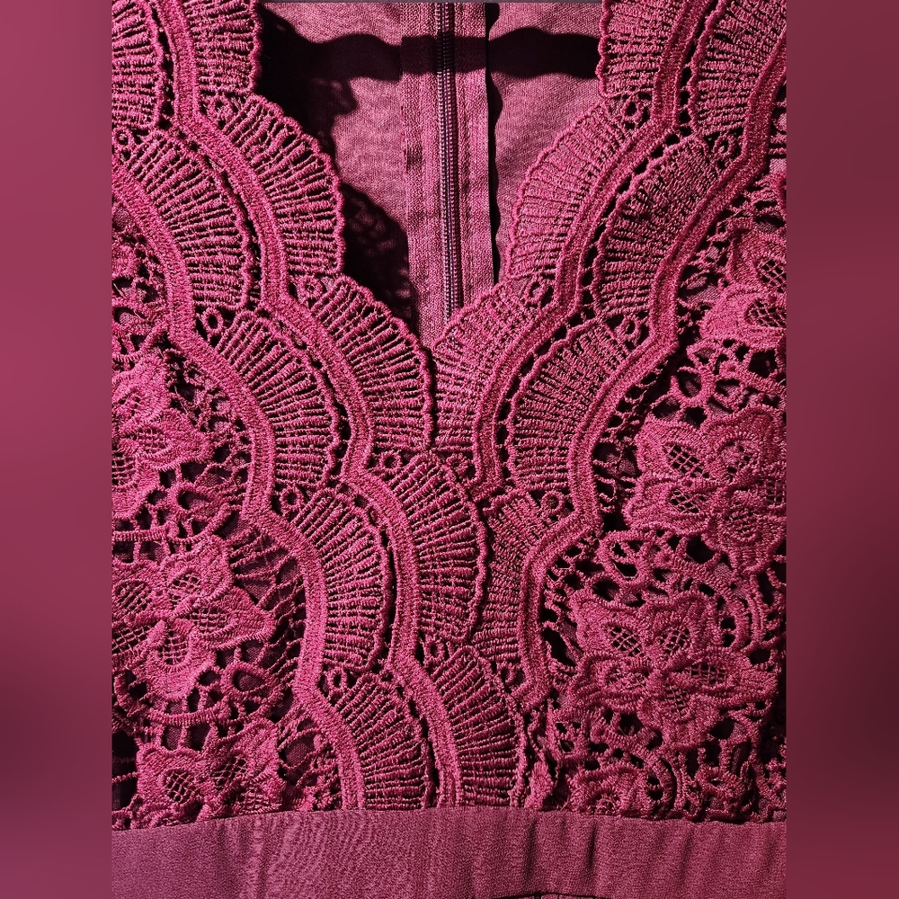 Lulu's Angel in Disguise Burgundy Lace Skater Dress - Picture 7 of 10